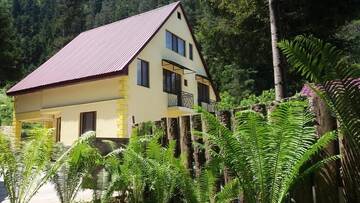 Фотографии Гостевой дом Guest House Borjomi Forest г. Боржоми (Грузия) №3 Фото Гостевой дом Guest House Borjomi Forest г. Боржоми 3