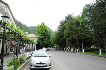 Фотографии Гостевой дом Guest House Fridon г. Боржоми (Грузия) №1 Фото Гостевой дом Guest House Fridon г. Боржоми 1