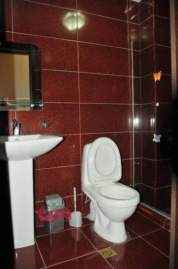 Фото номера Стандартный четырехместный номер Отель Alma-Ata Hotel г. Боржоми 6