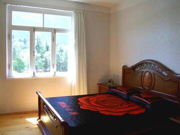 Фото номера Апартаменты с 1 спальней Гостевой дом Guest House Green Rose г. Боржоми 4