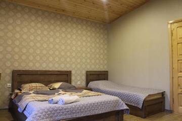 Фото номера Улучшенный трехместный номер Гостевой дом Guest House on Meskheti г. Боржоми 5