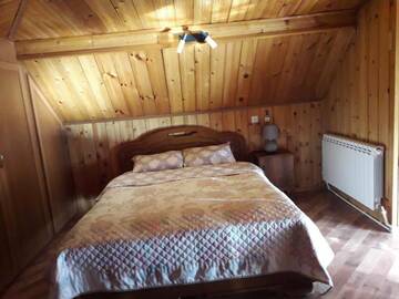Фото номера Двухместный номер Делюкс с 1 кроватью Гостевой дом House in Borjomi г. Боржоми 29