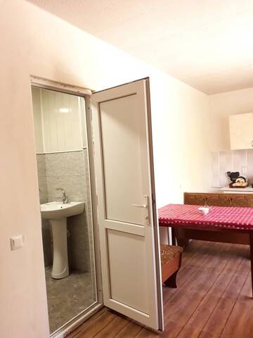Фото номера Улучшенные апартаменты Гостевой дом Weekend House г. Боржоми 10