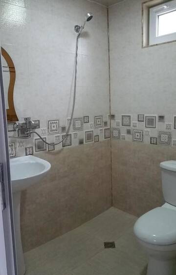 Фото номера Двухместный номер с 2 отдельными кроватями и балконом Гостевой дом Irakli Guesthouse г. Боржоми 48