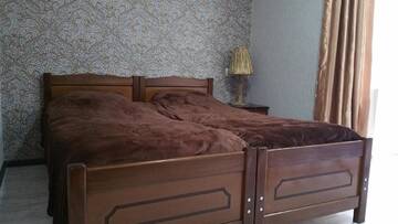 Фото номера Двухместный номер с 2 отдельными кроватями и балконом Гостевой дом Irakli Guesthouse г. Боржоми 23