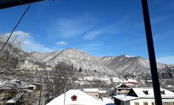 Фото номера Двухместный номер с 1 кроватью Гостевой дом Guest House Metreveli г. Боржоми 28