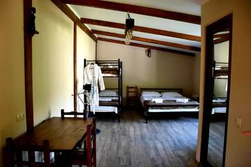 Фото номера Апартаменты с видом на горы Гостевой дом Guest House Metreveli г. Боржоми 9