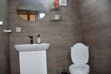 Фото номера Апартаменты с видом на горы Гостевой дом Guest House Metreveli г. Боржоми 7
