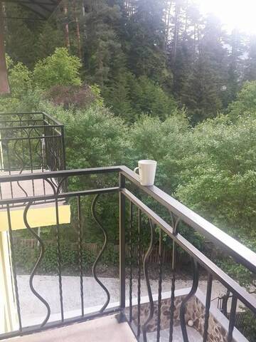 Фото номера Cемейный номер с собственной ванной комнатой Гостевой дом Guest House Borjomi Forest г. Боржоми 7