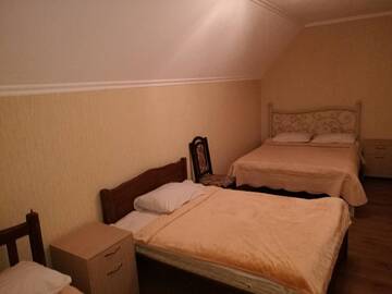 Фото номера Cемейный номер с собственной ванной комнатой Гостевой дом Guest House Borjomi Forest г. Боржоми 5