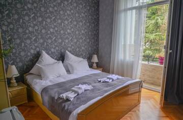 Фото номера Двухместный номер с 1 кроватью и видом на горы Отель Hotel Victoria г. Боржоми 5