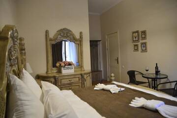 Фото номера Двухместный номер с 1 кроватью и видом на горы Отель Hotel Victoria г. Боржоми 3