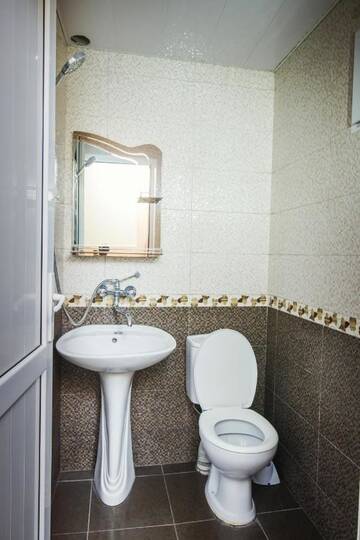 Фото номера Апартаменты - 1-й этаж Мини-отель Nick&amp;David INN г. Боржоми 6