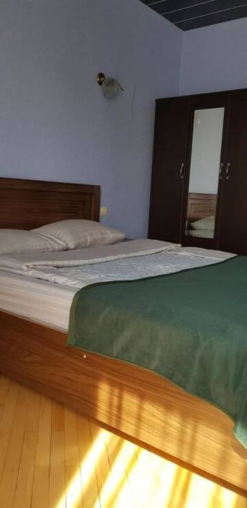 Фото номера Семейный суперлюкс Гостевой дом Guest house Likani 2017 г. Боржоми 27