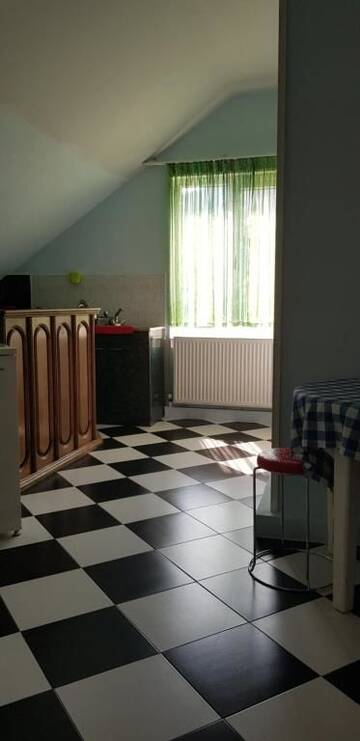 Фото номера Семейный суперлюкс Гостевой дом Guest house Likani 2017 г. Боржоми 30