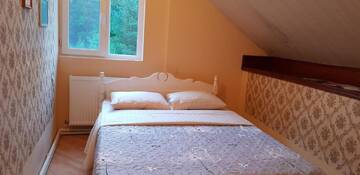 Фото номера Семейный суперлюкс Гостевой дом Guest house Likani 2017 г. Боржоми 19
