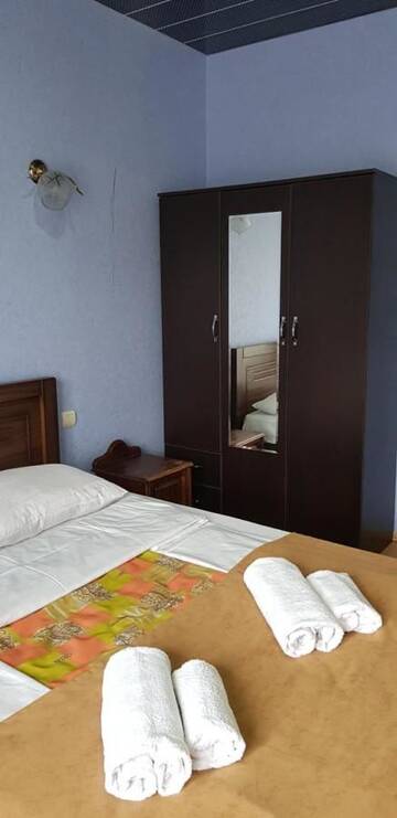 Фото номера Семейный суперлюкс Гостевой дом Guest house Likani 2017 г. Боржоми 21