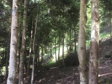 Фото номера Дом с 3 спальнями Дома для отпуска Mountain House Borjomi г. Боржоми 22