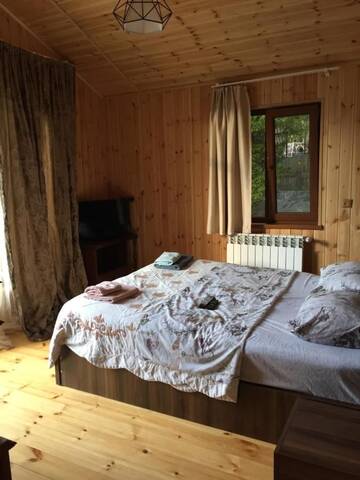 Фото Дома для отпуска Mountain House Borjomi г. Боржоми 3