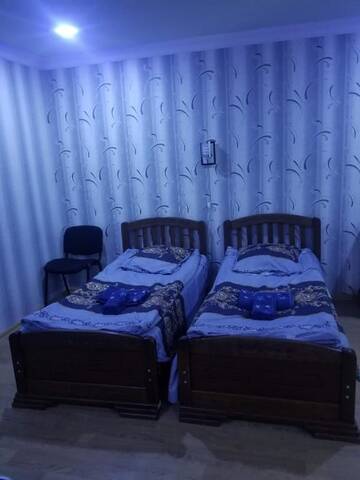 Фото номера Четырехместный номер Гостевой дом Guest House Shvelidze г. Боржоми 9