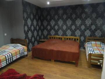 Фото номера Четырехместный номер Гостевой дом Guest House Nua г. Боржоми 4
