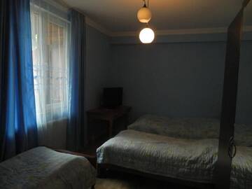 Фото номера Семейный люкс Гостевой дом Guest House Nua г. Боржоми 7