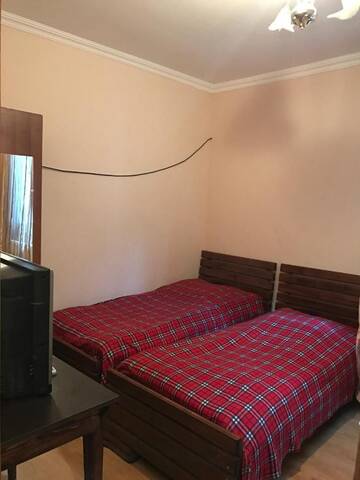 Фото номера Семейный номер с видом на горы Гостевой дом Guest House Nua г. Боржоми 3