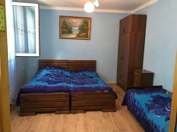 Фото номера Трехместный номер с видом на горы Гостевой дом Guest House Nua г. Боржоми 4