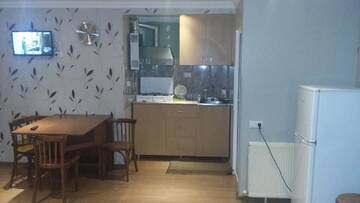 Фото номера Четырехместный номер с видом на горы Гостевой дом Guesthouse Malkhaz г. Боржоми 53