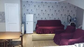 Фото номера Четырехместный номер с видом на горы Гостевой дом Guesthouse Malkhaz г. Боржоми 60
