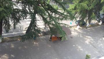 Фото номера Четырехместный номер с видом на горы Гостевой дом Guesthouse Malkhaz г. Боржоми 32
