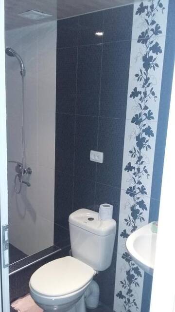 Фото номера Четырехместный номер с видом на горы Гостевой дом Guesthouse Malkhaz г. Боржоми 37