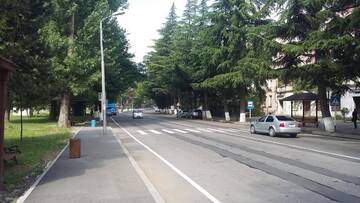 Фото номера Четырехместный номер с видом на горы Гостевой дом Guesthouse Malkhaz г. Боржоми 41