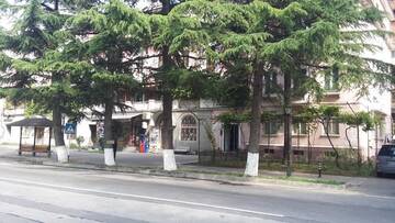 Фото номера Четырехместный номер с видом на горы Гостевой дом Guesthouse Malkhaz г. Боржоми 44