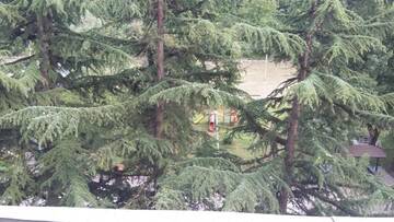 Фото номера Четырехместный номер с видом на горы Гостевой дом Guesthouse Malkhaz г. Боржоми 49