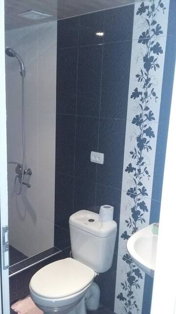 Фото номера Четырехместный номер с видом на горы Гостевой дом Guesthouse Malkhaz г. Боржоми 24