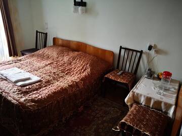Фото номера Бюджетный двухместный номер с 1 кроватью Проживание в семье Apartment Erekle г. Боржоми 5
