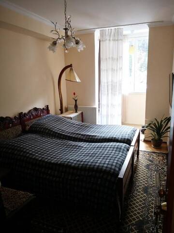 Фото номера Бюджетный двухместный номер с 1 кроватью Проживание в семье Apartment Erekle г. Боржоми 11
