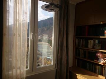 Фото номера Бюджетный двухместный номер с 1 кроватью Проживание в семье Apartment Erekle г. Боржоми 16