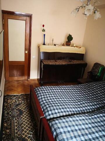 Фото номера Бюджетный двухместный номер с 1 кроватью Проживание в семье Apartment Erekle г. Боржоми 24