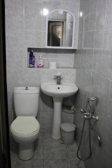 Фото номера Семейный номер-студио Гостевой дом Ella Guesthouse г. Боржоми 11