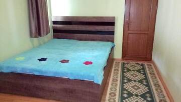 Фото Гостевой дом Guesthouse Megi on Robaqidze 6 г. Боржоми 4