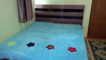 Фото Гостевой дом Guesthouse Megi on Robaqidze 6 г. Боржоми 2