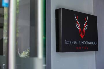 Фото номера Двухместный номер с 1 кроватью и балконом Отель Borjomi UnderWood г. Боржоми 20