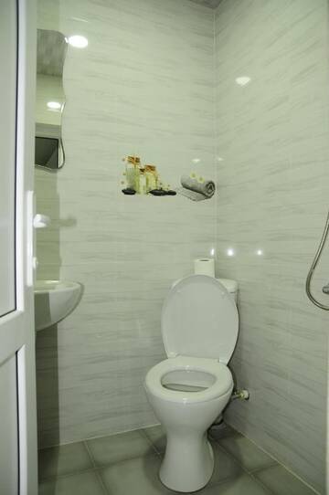 Фото номера Четырехместный номер &quot;Комфорт&quot; Гостевой дом HOTEL Tacho г. Боржоми 8