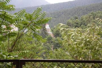 Фото номера Дом с 2 спальнями Гостевой дом Old Borjomi House г. Боржоми 55