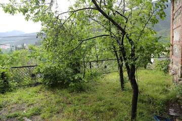 Фото номера Дом с 2 спальнями Гостевой дом Old Borjomi House г. Боржоми 24