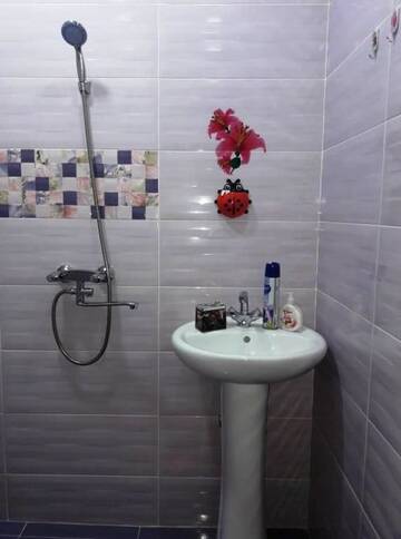 Фото номера Дом с 2 спальнями Гостевой дом Apart-otel Nino г. Боржоми 16