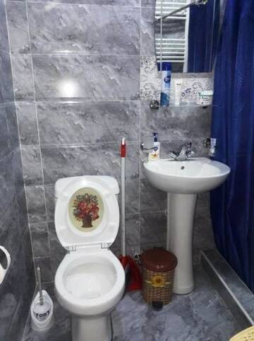 Фото номера Дом с 2 спальнями Гостевой дом Apart-otel Nino г. Боржоми 17