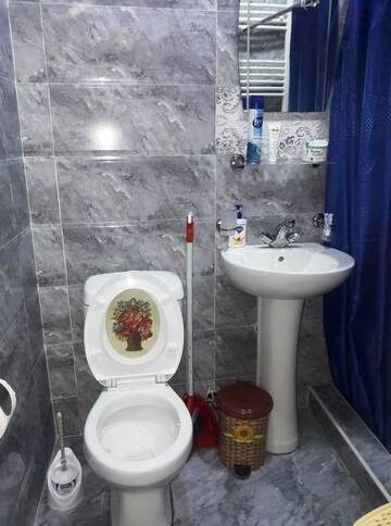 Фото номера Дом с 2 спальнями Гостевой дом Apart-otel Nino г. Боржоми 7